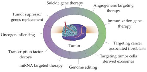  Cancer Gene Therapy, [online] 9 6 , pp
