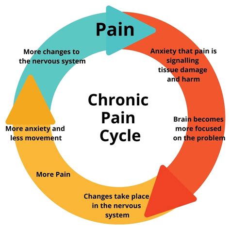  Cannabinoids are effective in the control of both acute and chronic pain