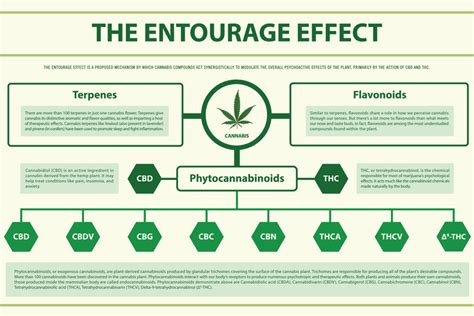  Cannabinoids work synergistically together with what is known as the entourage effect