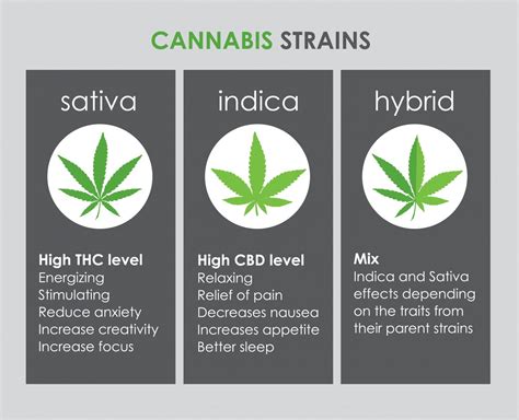  Cannabis: Cannabis contains more than 0