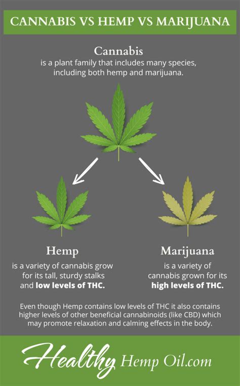  Cannabis can be further defined as either marijuana or hemp, depending on concentration of a substance called delta-9 tetrahydrocannabinol THC