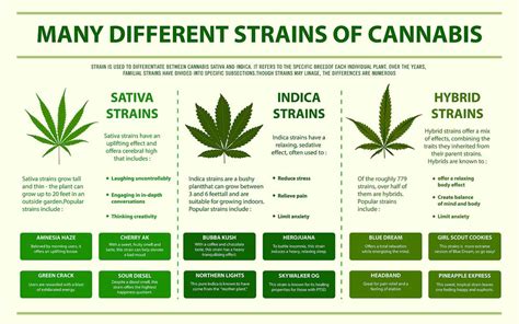 Cannabis containing more than 0