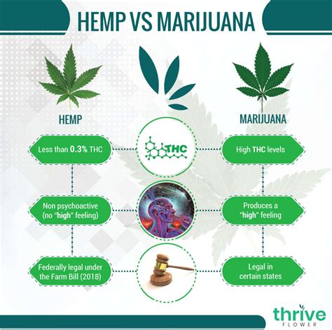  Cannabis cultivar products are commonly differentiated into either marijuana or hemp