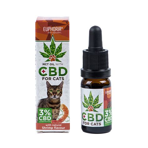  Cat parents can overdose their cats on hemp extract CBD oil