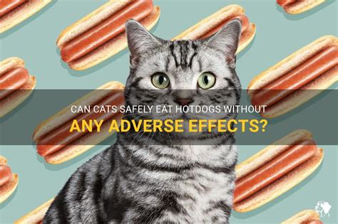  Cats can potentially experience adverse effects if given excessive amounts of CBD, but the likelihood of an overdose is relatively low