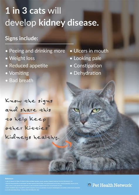  Cats with kidney disease are unable to remove waste products