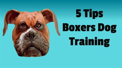  Certain problems may come up while training your Boxer