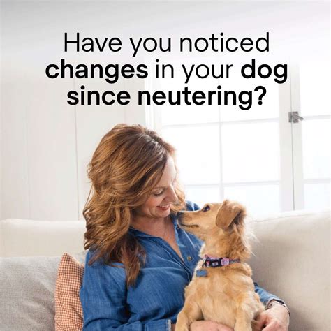  Change of circumstances If your circumstances change, for example your dog becomes sterilised, you move out of the City of Perth or you become eligible for a Seniors card, please contact us