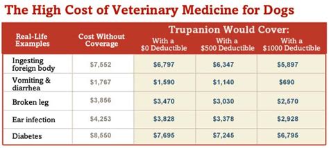  Check prices at your local practice as these will depend on your vet and where you live