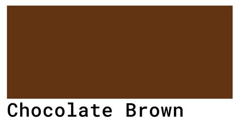  Chocolate: The chocolate colour is generally a dark, rich colour that is maintained as the dog matures