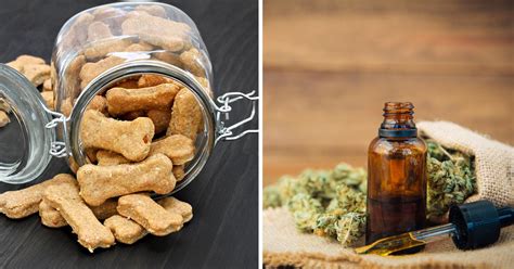  Choose from oil tinctures, chews and treats, making it easy to give to your pet in the form they prefer