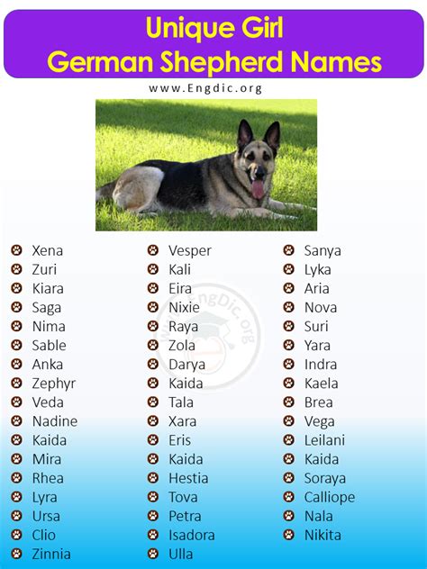  Choosing a puppy name from our list of German Sherpherd names will remind your German Shepherd Puppy of her German heritage every time you call her! Check out this long list of female German Shepherd dog names and you should find that perfect name right here! Puppy names are everywhere making German dog names very unique! We carefully sorted and edited our list with hopes to offer Dane appropriate girl dog names
