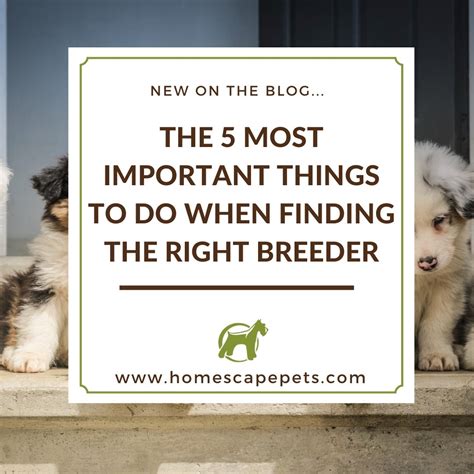  Choosing the right breeder is the most important part of buying a puppy, wherever you are