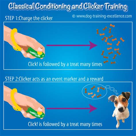  Clicker training works this way At the exact instant the action occurs, the trainer clicks