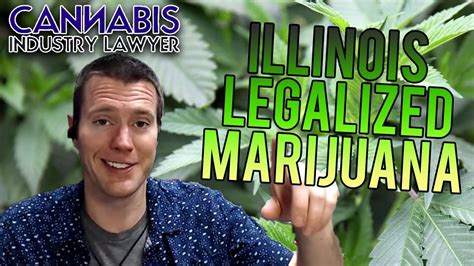  Close With the legalized sale of marijuana in Illinois, there has been raised awareness about the impact on animals