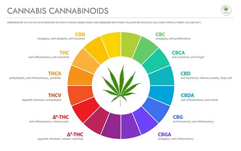  Compounds found in cannabis that reduce inflammation are abundant and diverse