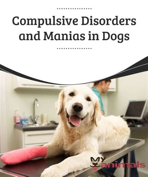  Compulsive Disorders Compulsive disorders in dogs can present in ways such as excessive tail-chasing