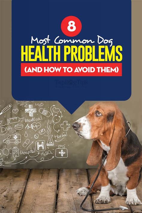  Conclusion Anxiety, arthritis, and stress are all common problems in dogs, and pet owners often struggle to keep these maladies under control