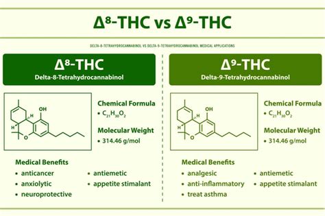  Conclusion In this comprehensive guide, we illuminated essential aspects of Delta 8 THC products and their interaction with drug tests