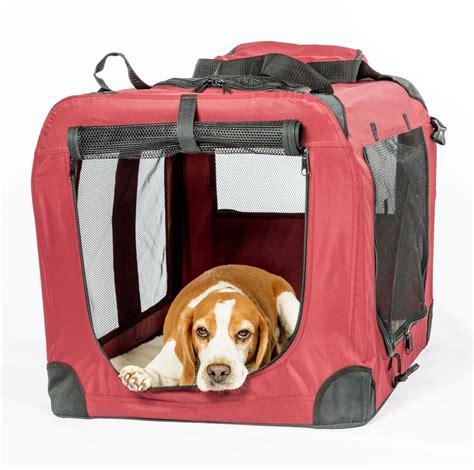  Consider Your Lifestyle Are you a frequent traveler? Soft-sided or plastic crates would be perfect
