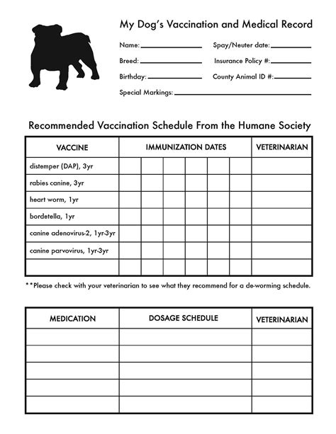  Consider any paperwork that you might need, like their vaccination records or any important medical history, should your pet become separated from you or injured during your trip