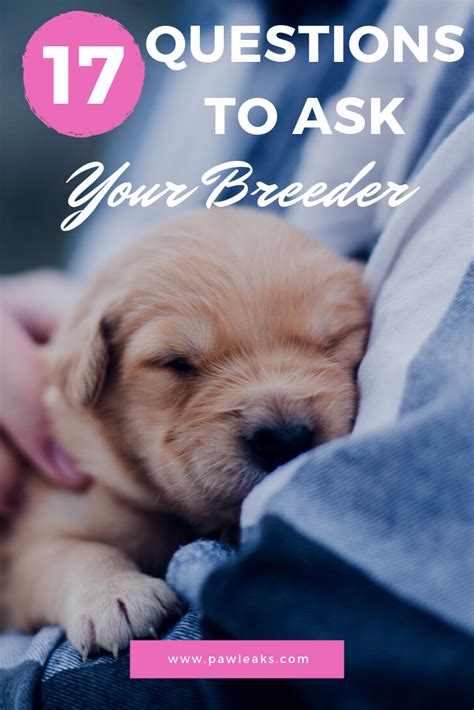  Consider the following tips when searching for the right breeder: Research and referrals: Ask for recommendations from friends, family, or veterinarians