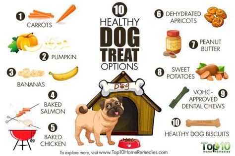  Consider the type of treats you normally give your dog