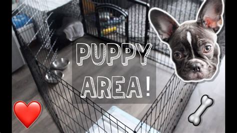  Consider using either a bed or crate for your Frenchie, depending on what suits you best