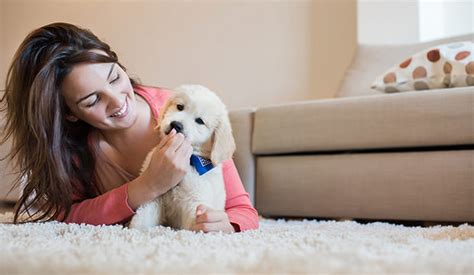  Considering these factors will help you to avoid purchasing a puppy from them