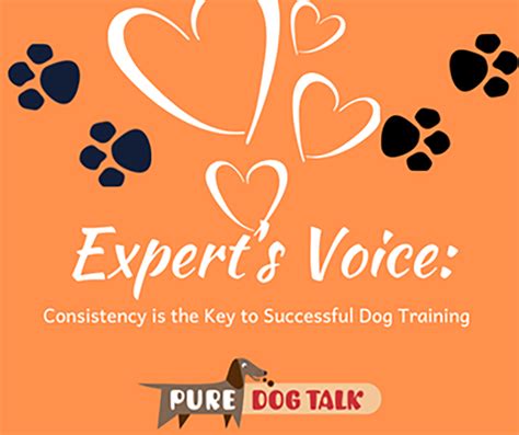  Consistency is Key Your dog should show improvement quickly, but it may take days to take full effect