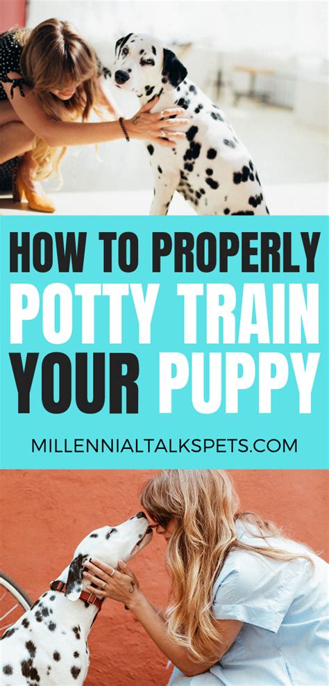  Consistency will help your puppy potty independently and cooperate well