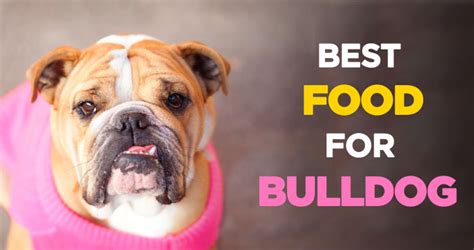  Consult your vet about the right food for your bulldog, and monitor that food intake to prevent weight gain