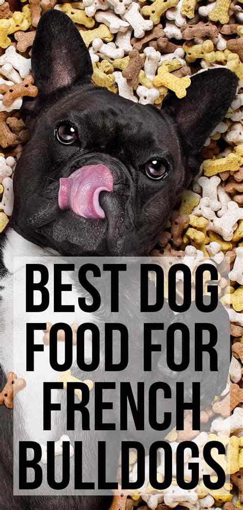  Consultation with a veterinarian can also be helpful in determining the best wet food for a French Bulldog