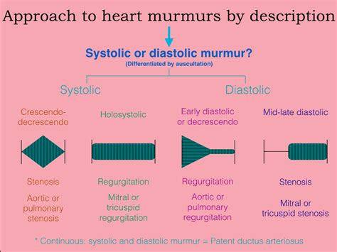  Continuous murmurs are found in both systolic and diastolic cycles