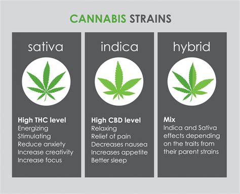  Contrary to popular belief, there is more than one strain of hemp