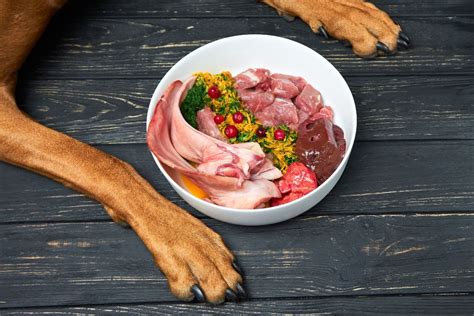  Cooked and raw dog food diets have emerged as a trend over the past few years