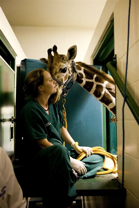  Coral Dawn My experience as the liaison of integrative medicine, neurology, and zoo medicine at UF Small Animal Hospital gave me valuable insight into the challenges faced by pet owners with animals who have medical conditions