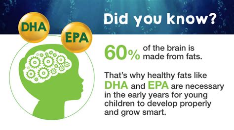  DHA for brain development Enough salt and electrolytes Tons of protein at least 