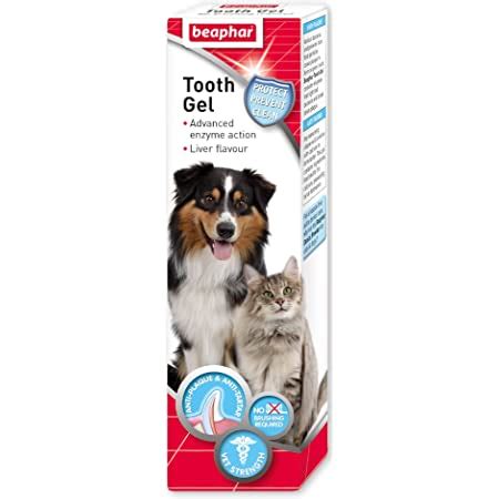  Daily brushing or use of an enzyme toothpaste is ideal dental care for dogs and can help prevent painful dental diseases later in life