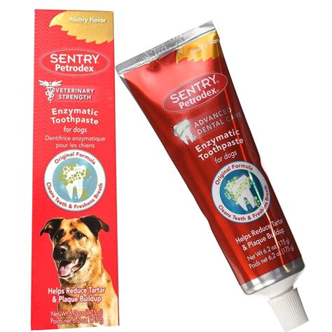  Daily brushing with a dog-friendly toothpaste or using an enzyme toothpaste paired with cleanings at the vet when needed is ideal