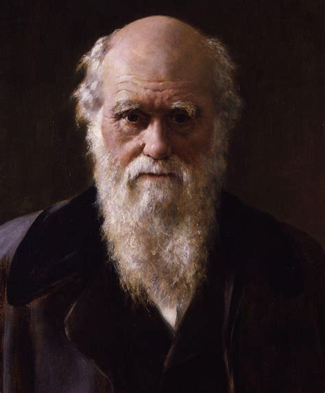  Darwin