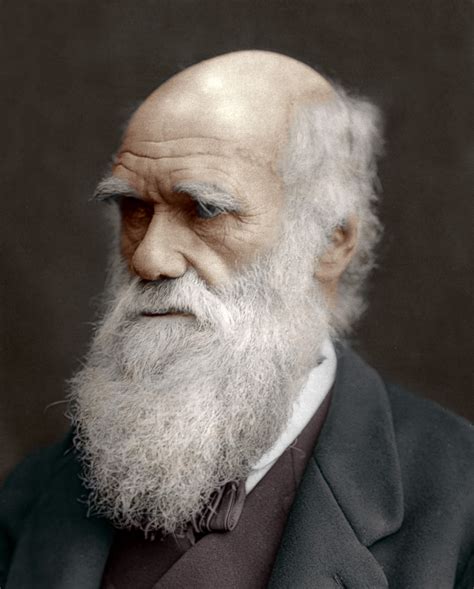 Darwin C