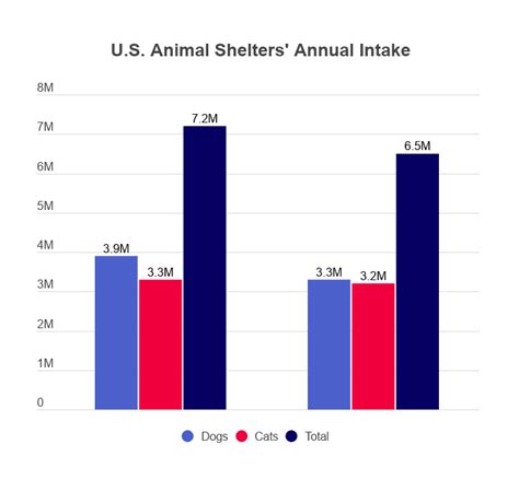  Data from hundreds of animal shelters in the US and Canada