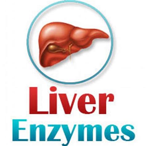  Decreased Liver Enzymes: CBD inhibits some of the liver enzymes, which alters the metabolism of certain drugs