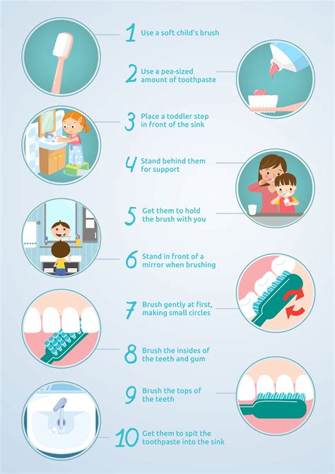  Dental health is also important, so brush their teeth times a week