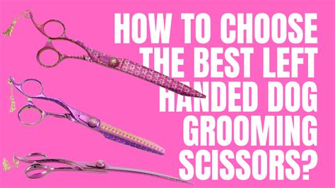  Depending on how skilled you are, you can choose to use grooming scissors or dog clippers