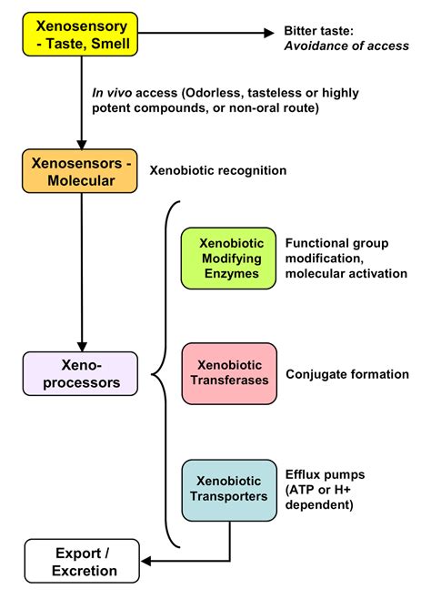  Depending on the xenobiotic being tested for, there can be multiple other xenobiotics that can crossreact and cause a false positive result