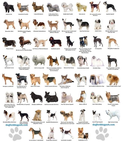  Despite the wide ranges of other breeds that can be …