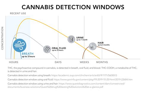  Detection times for Cannabis in hair Hair tests for cannabis can detect drug use up to 90 days after use