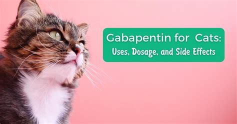  Determining the Right Gabapentin Dosage for Your Cat Gabapentin is a medication commonly prescribed to cats for pain relief